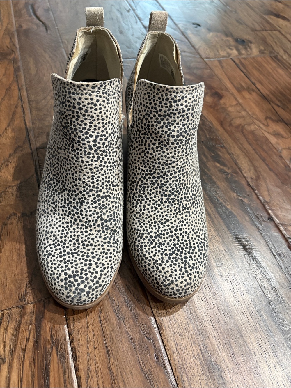 Toms Cream and Black Spotted Chelsea Ankle Boots